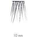 Sweed Beauty No Lash Cluster 10 mm