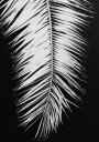 Pictufy Studio Iii Palmblad No.4 Plakat Plakat / 70x100cm