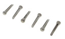 Daddario PS13 Bridge Pin Set Titanium