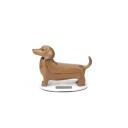 Kikkerland Sol-Dachshund Boudewijn - Solar Kompanjong