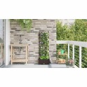 Hageplantekasse med trellis Brun 40x40x125,5 cm