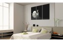 Bilde A Lonely White Swan 120x80 Artgeist sp. z o. o.