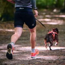 Non-Stop Dogwear Rush Trekksele til Hund i Sort/Turkis
