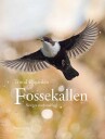 Fossekallen   Norges nasjonalfugl & Linn Therese og fossekallen