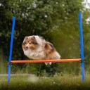 Agilitypakke Mellomstor/Stor Hund