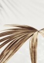 Golden Palm Leaves Plakat Plakat / 50x70cm