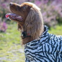 Rukka Zebra Hundeoverall (50 cm)