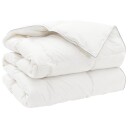 vidaXL Dyne FULDA 200 x 240 cm Vinter 300 GSM 90% Gjess Dun Hvit