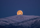 SNoW & MooN Plakat Plakat / 70x100cm