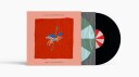 Matt Holubowski Inside The Merry Loop Vinyl