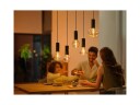 Philips Hue Lightguide Triangle E27 smart LED-pære 500 lm