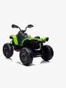 Can-Am Renegade Firehjuling Grønn