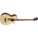 Ibanez AEGB30E-NTG