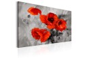Tavle Steel Poppies 120X80 Artgeist sp. z o. o.