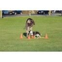 Trixie Agility Hindersett med 3 Hindre og 6 Kjegler - Rød/Oransje