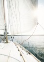 Sail Away Plakat / 100x150
