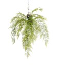 Mr Plant Bregnegrønn 110 cm