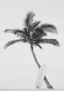 Palm Surfboard Plakat Plakat / 100x150cm