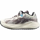 Salomon Aero Glide 4 GRVL Dame Vanilla Ice/Black/Iron Grey 42