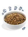 Edgard & Cooper Kornfritt Hundemat med Laks 7 kg - For Voksen Hund