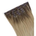 Rapunzel of Sweden Vegan Clip ins Straight / Medium Volume / 5 pieces