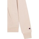 Champion Hettegenser Hooded Sweatshirt Brun