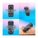 Sony SRS-XE300B Svart
