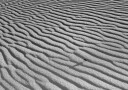 Rippled Sand And Insect Plakat / 21x30