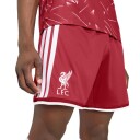 Liverpool FC 26/27 Hjemmeshorts Herre Rød L