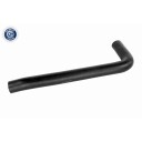 VAICO V24 1172 Radiatorslange