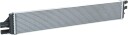 RIDEX 470R0953 Radiator motorkjøling