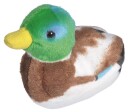 Wild Republic Bamse med Andelyd   14 cm   And
