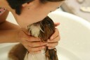 Trixie Pelspleiesjampo 250 ml til Hund med Pleiende Egenskaper