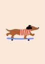 Dachshund on Skateboard Plakat Plakat / 30x40cm