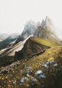Alpine Blossoms and Peaks Plakat Plakat / 30x40cm