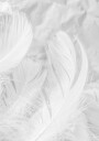 Soft Feather Plakat Plakat / 70x100cm