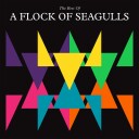 A Flock Of Seagulls The Best Of A Flock Of Seagulls Limited Edition Vinyl