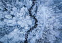 A Freezing Cold Beauty Plakat Plakat / 21x30cm