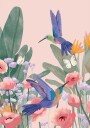 Hummingbirds Plakat Plakat / 70x100cm