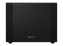 Pioneer DJ XPRS1152S Active Subwoofer