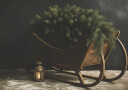 Christmas Sled Plakat Plakat / 21x30cm
