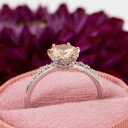 Lily and Rose Petite Elenora ring - Champagne mist 18 mm 18 mm