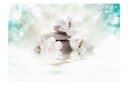 Fototapet Heavenly Peace 250x175 - Artgeist sp. z o. o.
