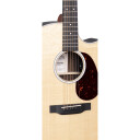 Martin GPC-13E Ziricote
