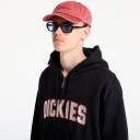 Dickies Aitkin Zt Hoodie Black XL
