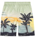 Molo Shorts   Adi   Beach Banana   Molo   6 år (116)   Shorts Blå Grønn Gul