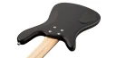 Warwick Artist Line Robert Trujillo 4