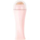 Brushworks Oil Absorbing Roller