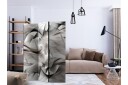 Romdeler - Abstract braid 135x172 - Artgeist sp. z o. o.
