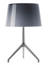 Foscarini Lumiere Xxs Bordlampe Grå Aluminium